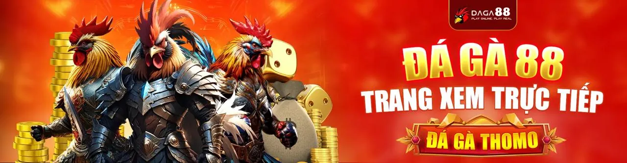 Đá gà trực tiếp tại bsport link với không khí sôi động