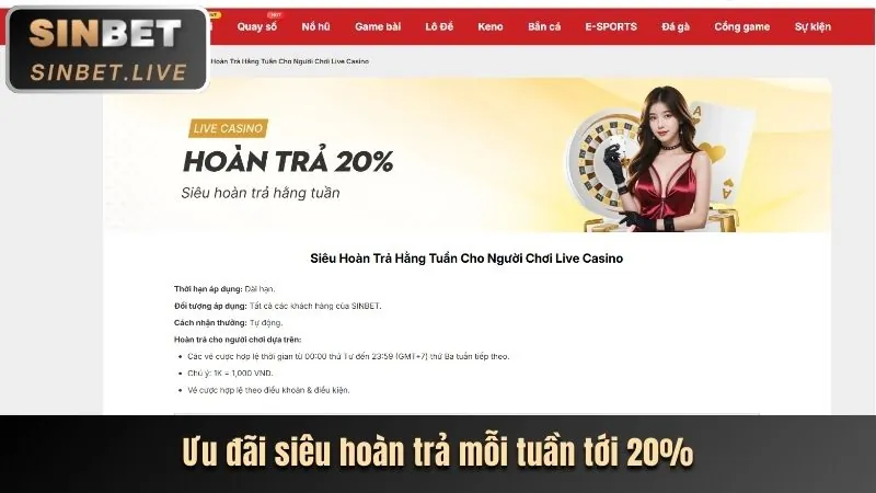 Cách trở thành VIP bsport link
